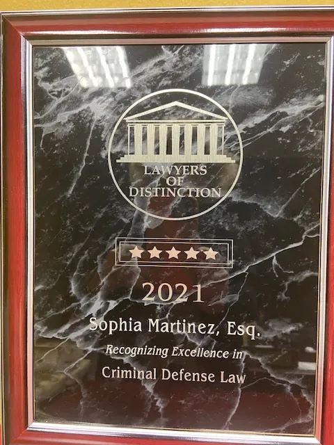 Sophia C. Martinez All Criminal Defense and DWI Law 6