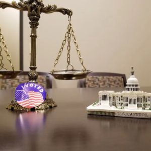 The Woodlands Immigration Attorney, Merita Rice