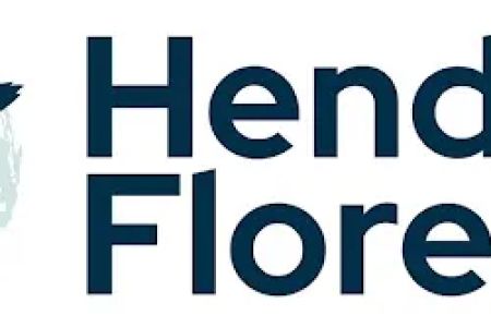 Hendler Flores Law