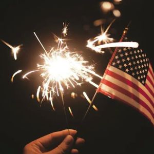 USA Immigration Solutions
