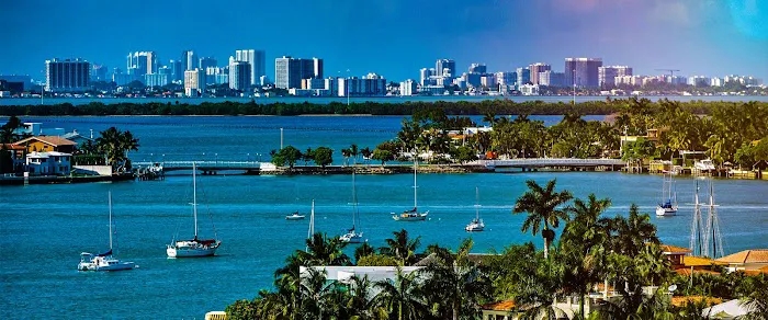 Law USA Solutions Picture 8