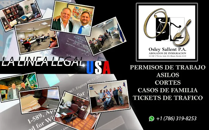 La Linea Legal USA Picture 8