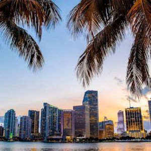 Malescu Law, PA - Business & Immigration Lawyers
