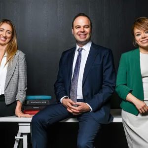 De Wit Immigration Law, P.A.