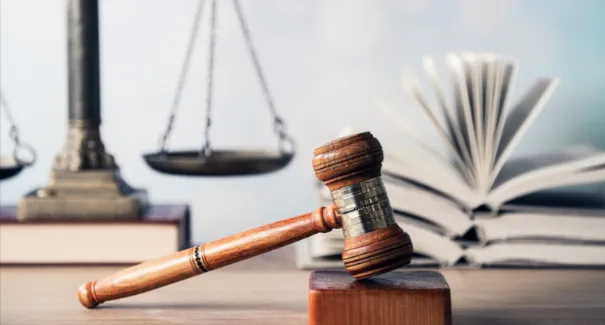 What The Law Picture 3