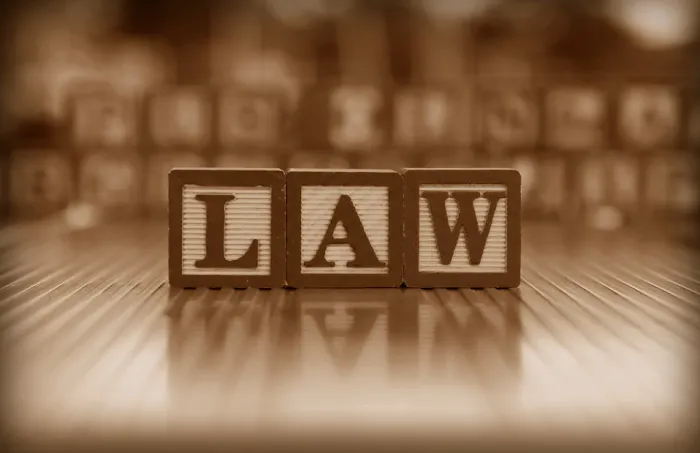 What The Law Picture 10