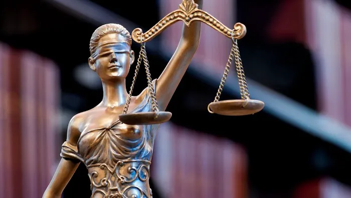The Vier Law Firm Picture 2