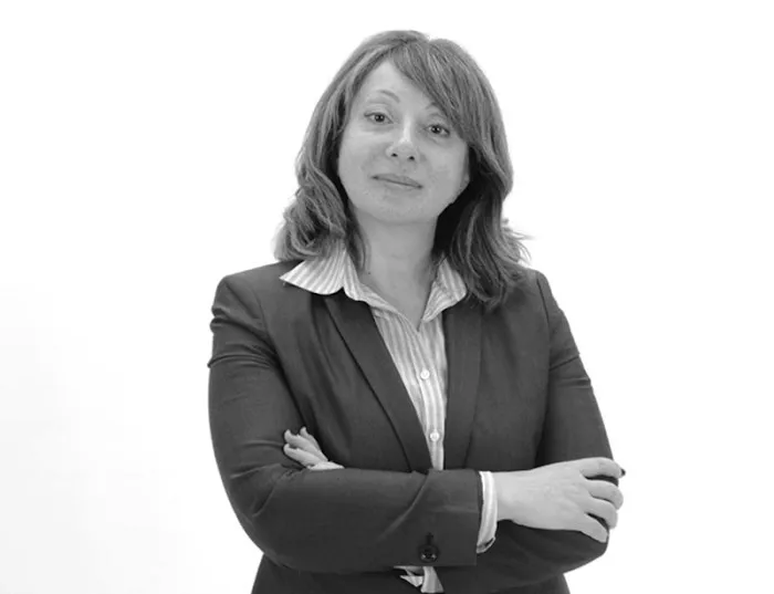 The Law Office of Svetlana Kats Picture 3