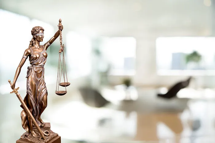Lawyer For Business Picture 6
