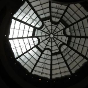 Dyan Williams Law PLLC