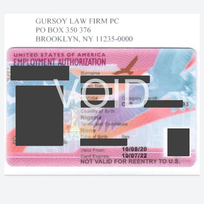 Gursoy Immigration Lawyer Picture 2
