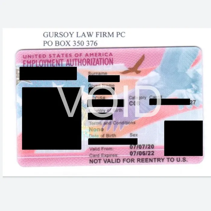 Gursoy Immigration Lawyer Picture 4