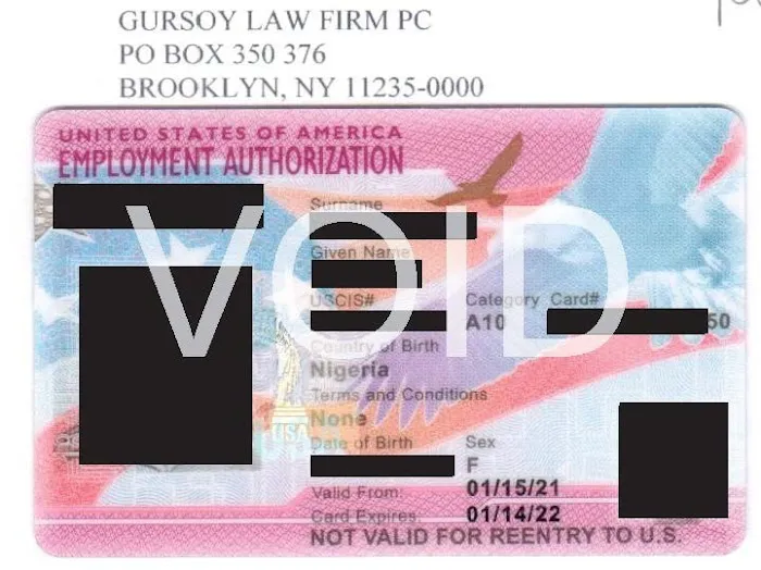 Gursoy Immigration Lawyer Picture 5