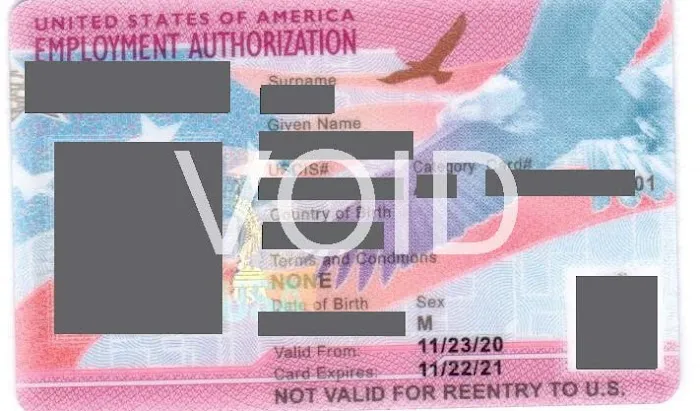 Gursoy Immigration Lawyer Picture 6