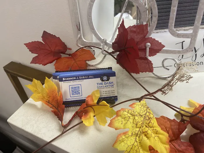 The Dash Cam Lawyer ® - Shannon J. Sagan Picture 3