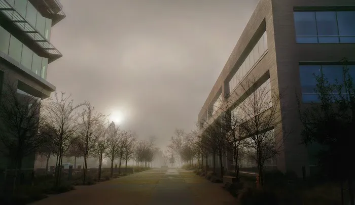 Latham & Watkins LLP Picture 3