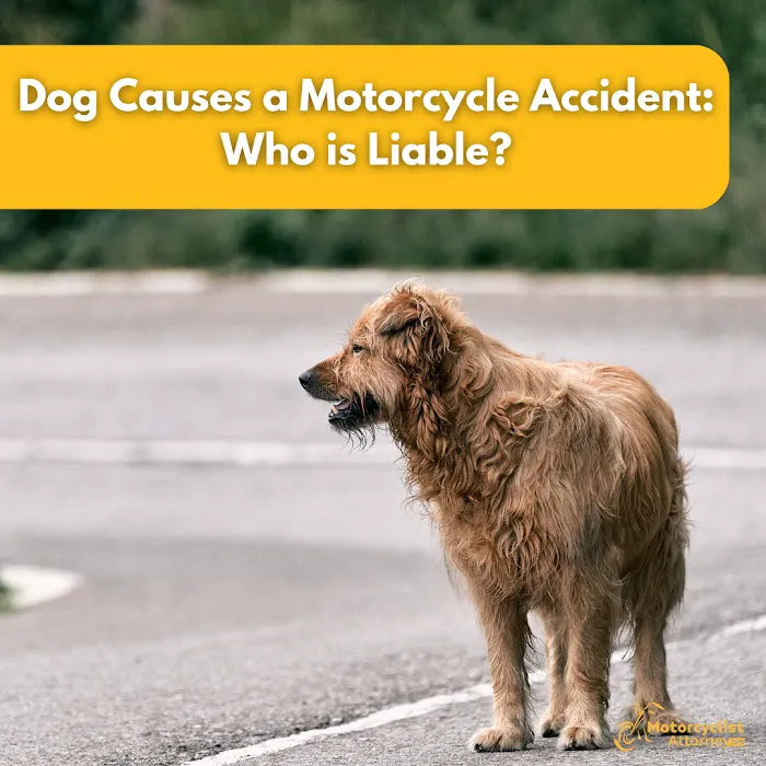 Motorcyclist Attorney Picture 7