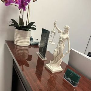 Avagyan Immigration Law Firm