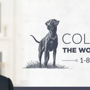 Collier Law P.L.L.C
