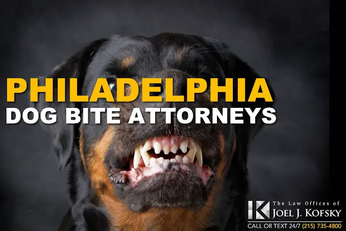 Philly Injury Lawyer - Philadelphia Car Accident Attorneys Picture 6