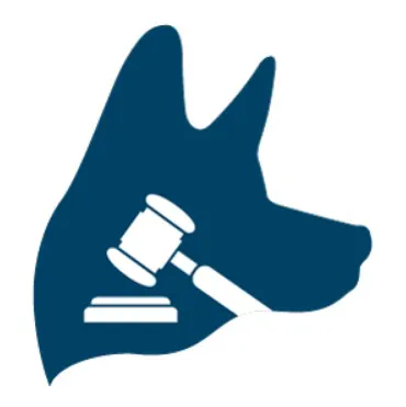 TopDog Law Personal Injury Lawyers Picture 7