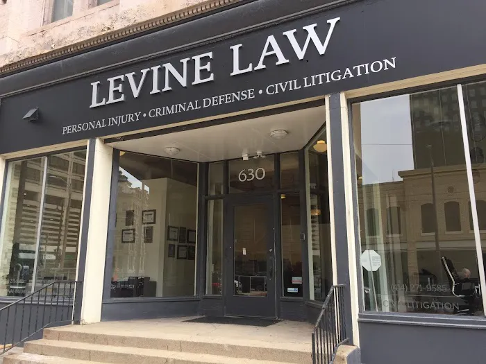 Michael G. Levine Picture 3