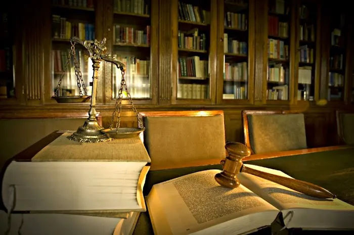Palmé Law Firm, P.A. Picture 6