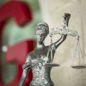 Mike G Law