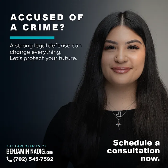 The Law Offices of Benjamin Nadig, Chtd. Picture 8