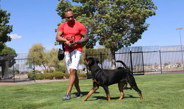 Spartacus Criminal Defense Lawyers Las Vegas Picture 6