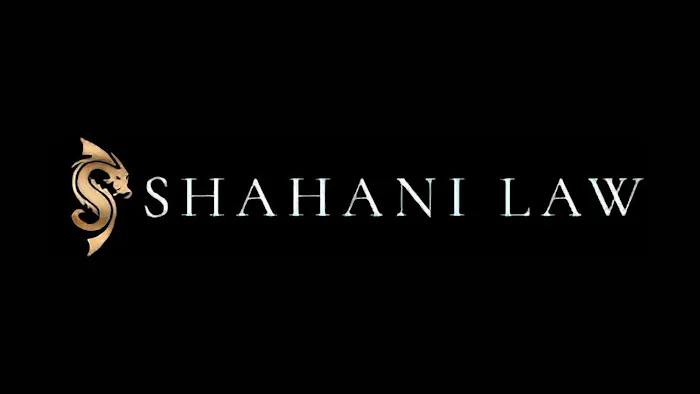 Shahani Law, Ltd. Picture 1