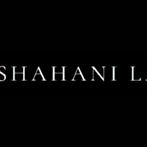 Shahani Law, Ltd.
