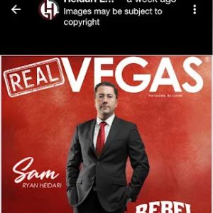 The Rebel Lawyers
