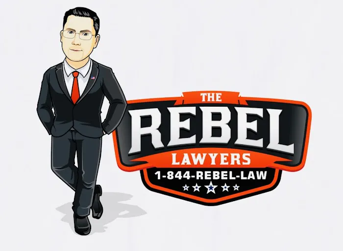 The Rebel Lawyers Picture 10
