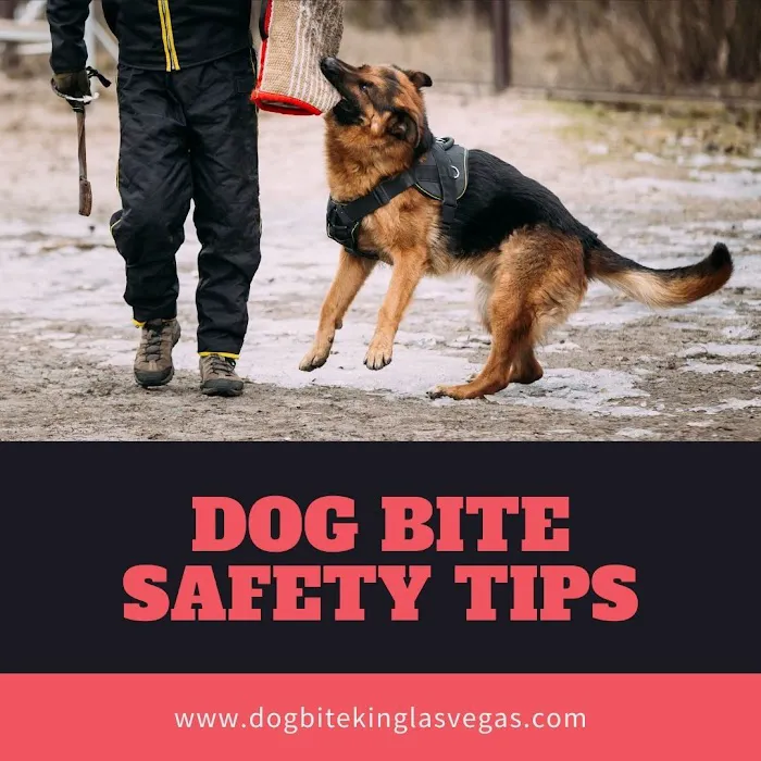 Dog Bite King Law Group Picture 2