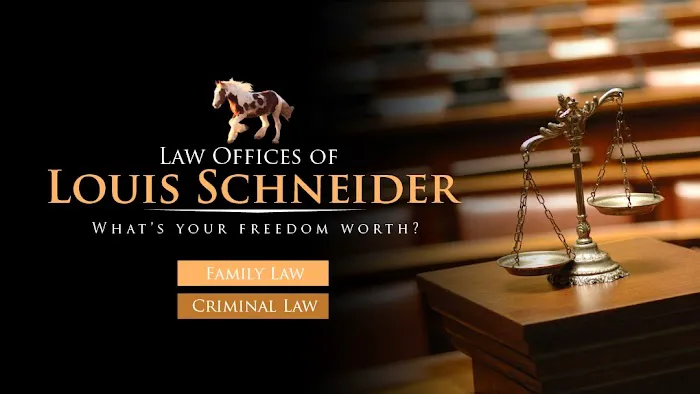 Law Offices Of Louis Schneider Picture 3