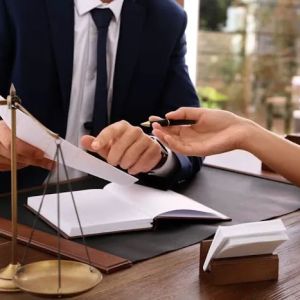 The Schnitzer Law Firm