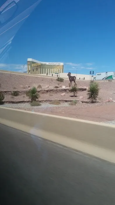 Ladah Injury & Car Accident Lawyers Las Vegas Picture 2