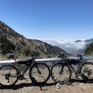 Bicycle Law