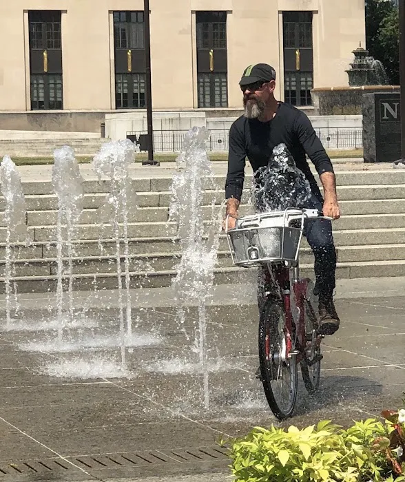 Bicycle Law Picture 4