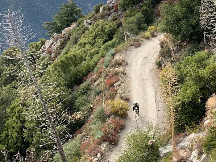 Bicycle Law Picture 6