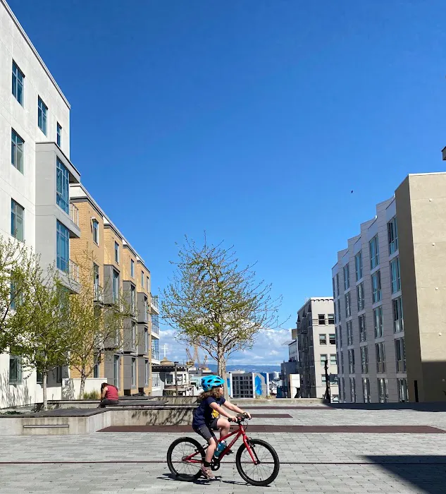 Bicycle Law Picture 3
