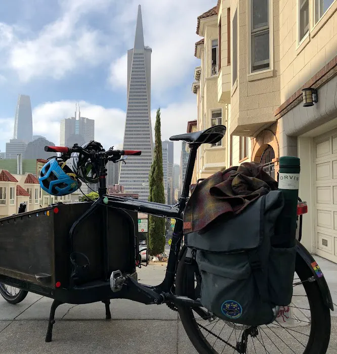 Bicycle Law Picture 2