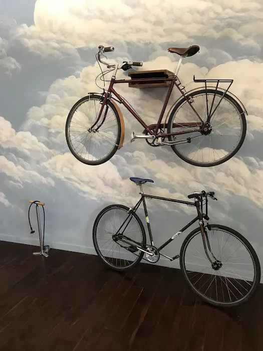 Bicycle Law Picture 5