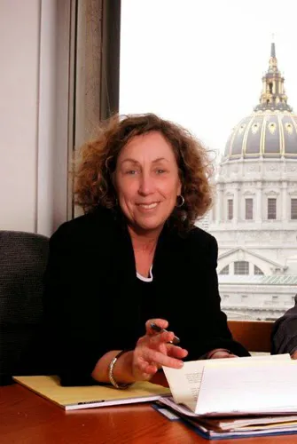 Sena Family Law & Mediation Practice Picture 1