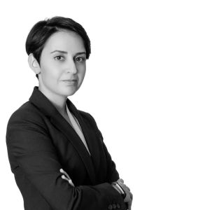 Noori Torabi - Winston & Strawn LLP