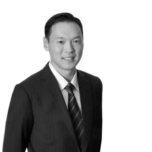 Michael G. Wu - Winston & Strawn LLP
