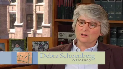 Schoenberg Family Law Group, P.C. - Divorce Attorneys Picture 1