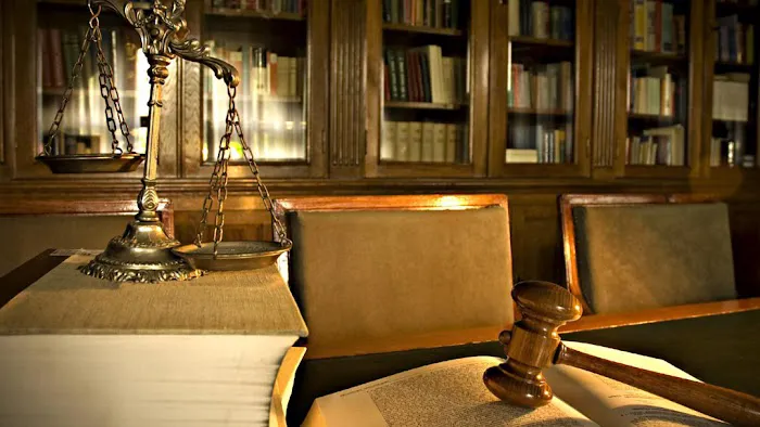 Ladva Law Firm Picture 1