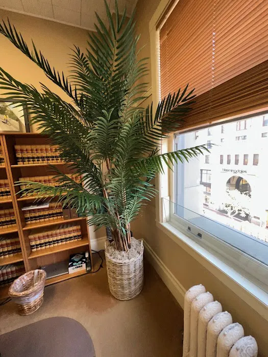 Law Office of Shelley S Feinberg Picture 1